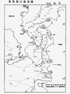 東京湾口海況図(2002/06/05)