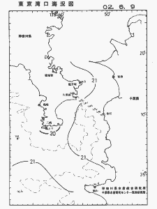 東京湾口海況図(2002/06/09)