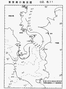 東京湾口海況図(2002/06/11)