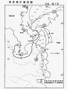 東京湾口海況図(2002/06/13)