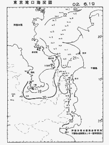 東京湾口海況図(2002/06/19)