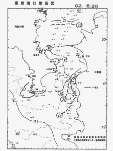 東京湾口海況図(2002/06/20)