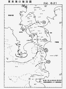 東京湾口海況図(2002/06/21)