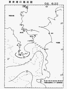 東京湾口海況図(2002/06/22)