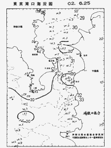 東京湾口海況図(2002/06/25)