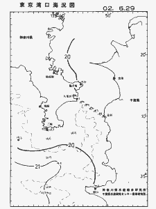 東京湾口海況図(2002/06/29)