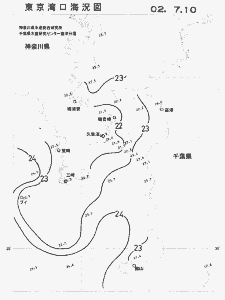 東京湾口海況図(2002/07/10)