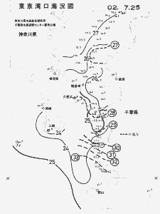 東京湾口海況図(2002/07/25)