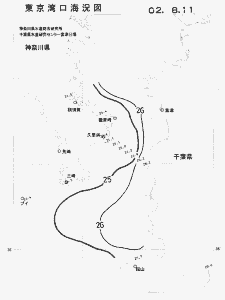 東京湾口海況図(2002/08/11)