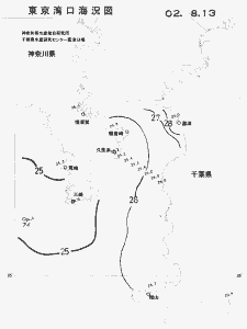 東京湾口海況図(2002/08/13)
