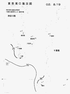 東京湾口海況図(2002/08/19)