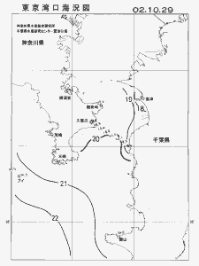 東京湾口海況図(2002/10/29)
