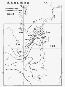東京湾口海況図(2003/01/11)