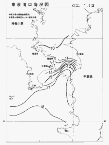 東京湾口海況図(2003/01/13)
