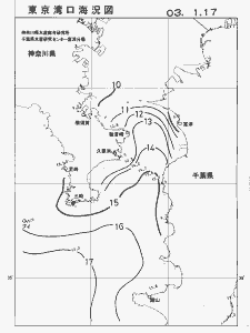 東京湾口海況図(2003/01/17)