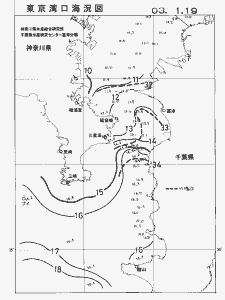 東京湾口海況図(2003/01/19)
