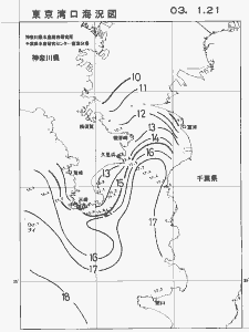 東京湾口海況図(2003/01/21)