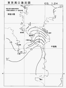 東京湾口海況図(2003/01/24)