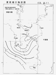 東京湾口海況図(2003/02/11)