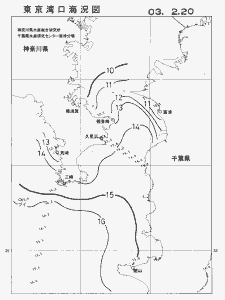 東京湾口海況図(2003/02/20)