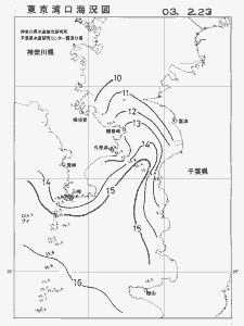 東京湾口海況図(2003/02/23)