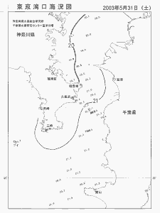 東京湾口海況図(2003/05/31)