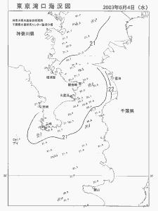 東京湾口海況図(2003/06/04)