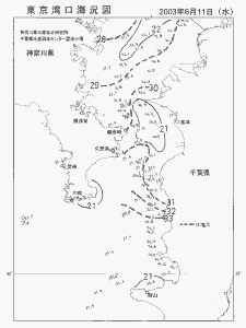 東京湾口海況図(2003/06/11)