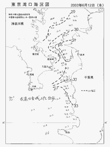 東京湾口海況図(2003/06/12)