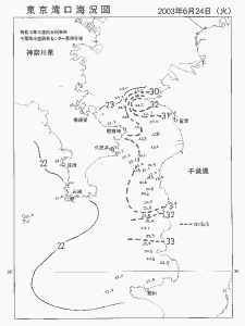 東京湾口海況図(2003/06/24)