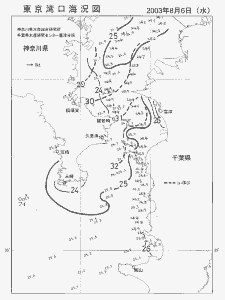 東京湾口海況図(2003/08/06)