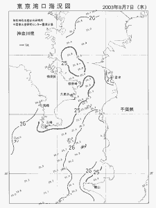 東京湾口海況図(2003/08/07)