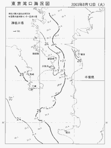 東京湾口海況図(2003/08/12)