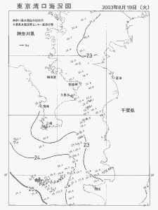 東京湾口海況図(2003/08/19)