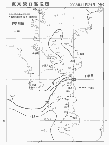 東京湾口海況図(2003/11/21)