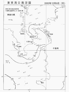 東京湾口海況図(2003/12/08)
