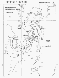 東京湾口海況図(2004/01/07)