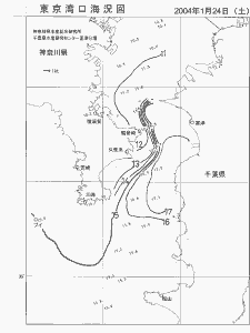 東京湾口海況図(2004/01/24)