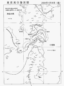 東京湾口海況図(2004/01/30)