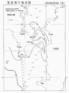 東京湾口海況図(2004/02/08)