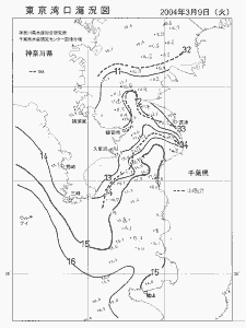 東京湾口海況図(2004/03/09)