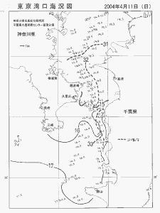 東京湾口海況図(2004/04/11)