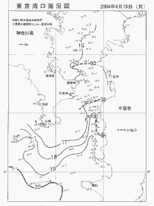 東京湾口海況図(2004/04/19)