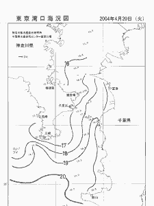 東京湾口海況図(2004/04/20)
