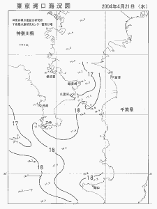 東京湾口海況図(2004/04/21)