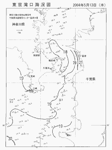 東京湾口海況図(2004/05/13)