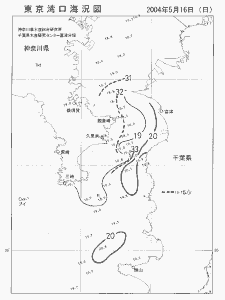東京湾口海況図(2004/05/16)