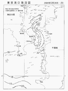 東京湾口海況図(2004/05/24)