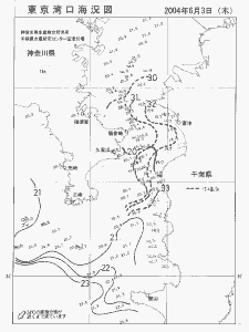 東京湾口海況図(2004/06/03)