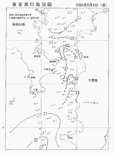 東京湾口海況図(2004/06/04)